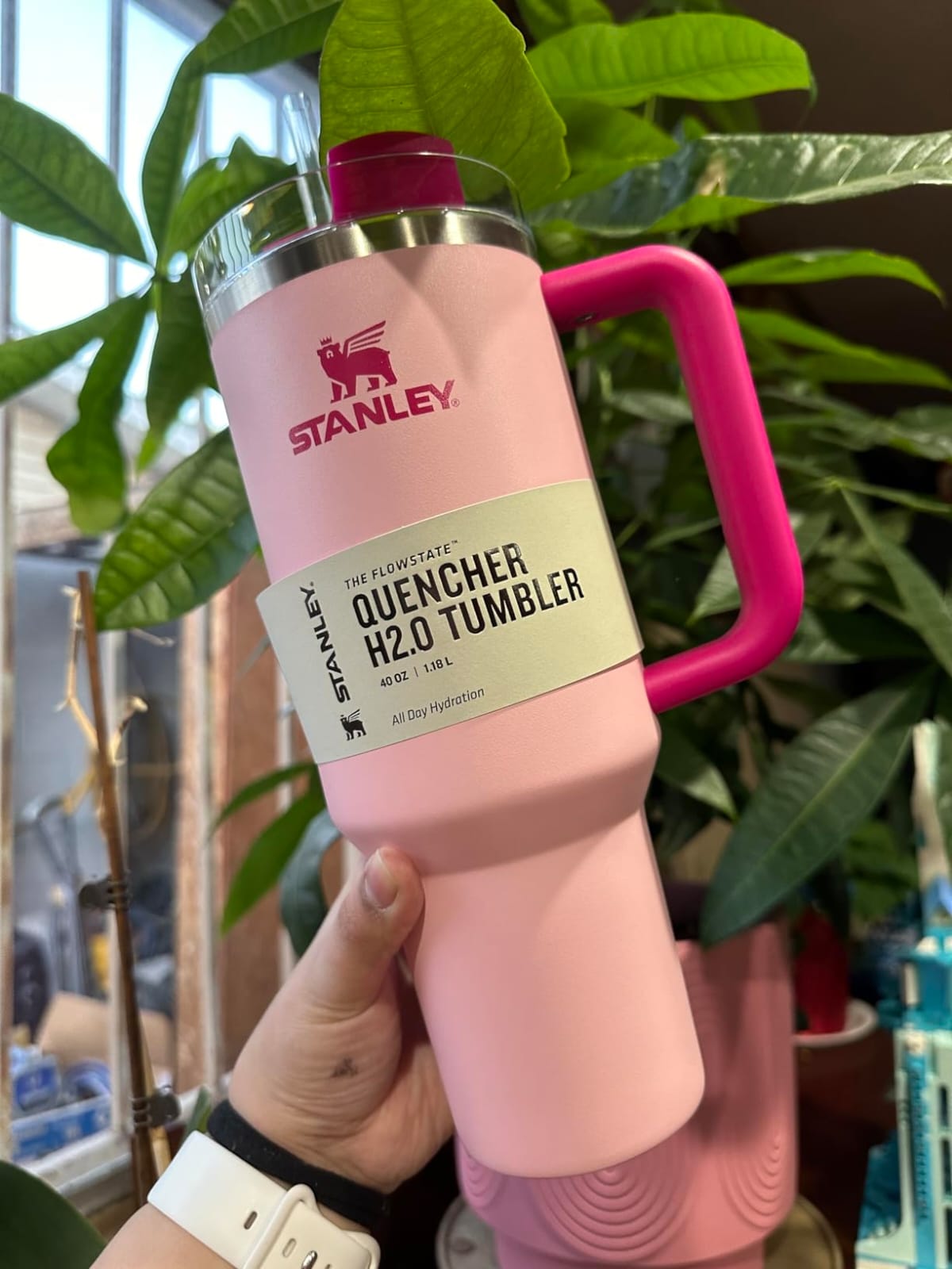 Stanley Tumbler (40 Oz)